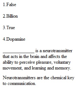 Chapter 2 Quiz